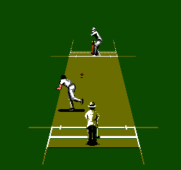International Cricket (NES)