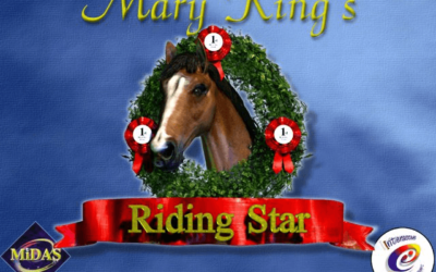 Australia’s Equestrian Games – An Interview with Riding Star creator Andrew Niere